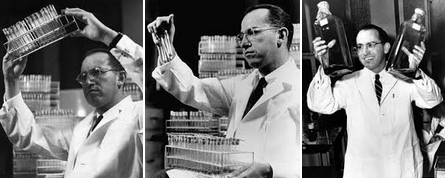 100 aniversario del nacimiento de jonas salk