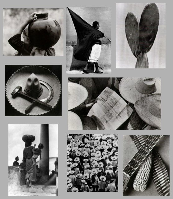 fotografas de tina modotti